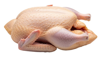 Raw whole chicken isolated PNG on transparent background, uncooked poultry for food preparation and cooking projects