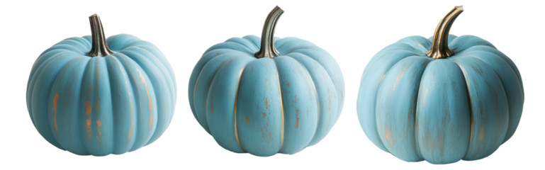 Blue Jarrahdale pumpkin with a green stem isolated on a white background