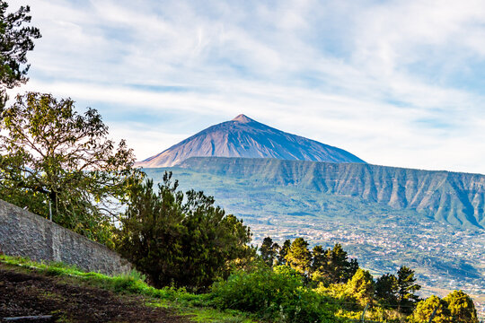 Paisaje en La Corujera, con el Teide de fondo.