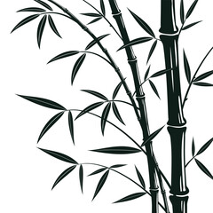 Bamboo tree with leaves. Black silhouette of bamboo on a white background.
