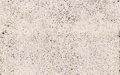 Obraz premium Light cream granite texture with dense black mineral speckles, balanced contrast, and durable natural stone surface