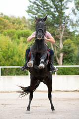 riding girl and horse