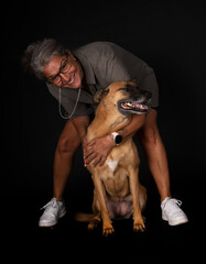 malinois in studio