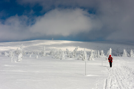 Winter landscape in the Krkono&scaron;e Mountains with frozen trees and hiker on snowy path