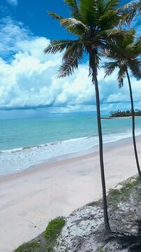 Coqueirinho Beach At Joao Pessoa Paraiba Brazil. Stunning Tropical Coastline Beach Scene Viewed From Above. Paradise Island Landscape Heaven Beauty. Heaven. Joao Pessoa Paraiba.