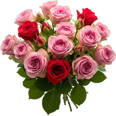 Flower Bouquet Illustration : 꽃다발