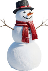 Snowman Illustration : 눈사람