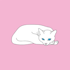 A white cat is napping. Vector portrait of a white cat with blue eyes on a pink background