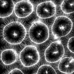 Abstract black and white background