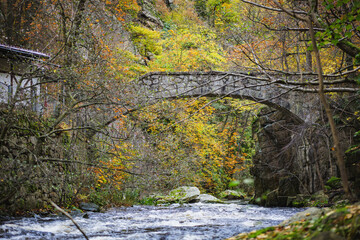 Stone Bridge on the Jungfernstieg Trail in the Harz Mountains, Germany