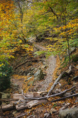Goethefelsen Rock Formation in the Harz Mountains, Germany