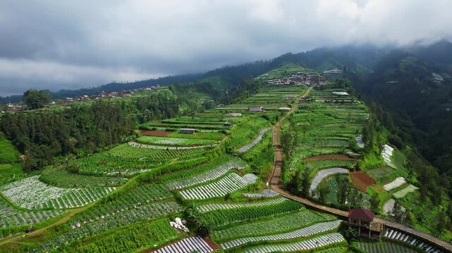 Aerial drone footage of a high Indonesian village and structures on the slope of the Merbabu volcano, with vast green agricultural parcels in the foreground