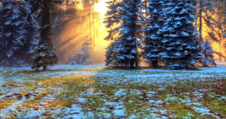 Snowflakes gently falling in slow motion in a atmospheric winter and autumn foggy forest scene. Ideal as a winter background or nature-themed visual for motion design and ambient video projects. - Powered by Adobe