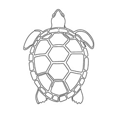 Obraz premium Outline of a sea turtle in white color against a transparent background