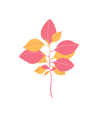 autumn leaves on white background