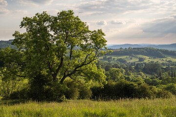 Fototapeta premium Landscape near Fish Hill, Broadway, Cotswolds