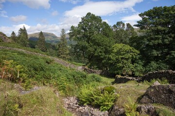 Landscape near Grasmere