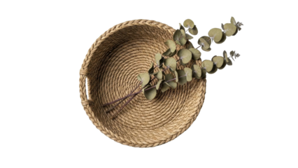 Woven Basket Holds Eucalyptus Sprigs Minimalist Arrangement