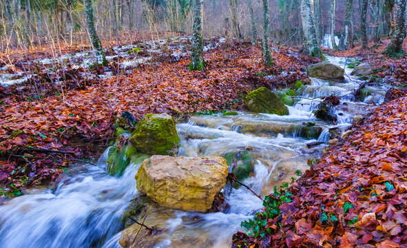 emerald mountain river rushing through the canyon covered by red dry leaves, autumn mountain river scene - Powered by Adobe