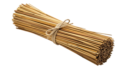Bundle of Dried Reed Stalks Tied with Twine Against Black Background