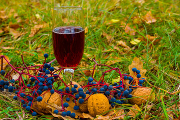 closeup red white wine glass in grass  with nuts and fruits among forest glade © Yuriy Kulik