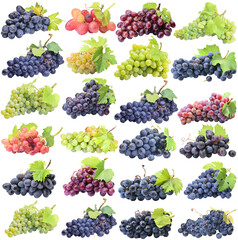 Set of berries isolated