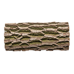 Textured Tree Bark Surface Close Up Detail