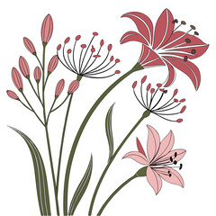 Pink and red lilies with buds and green stems on white background