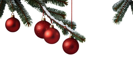 A festive Christmas tree branch of green spruce is adorned with hanging red glass ball ornaments and gold decorations for a winter holiday celebration in December