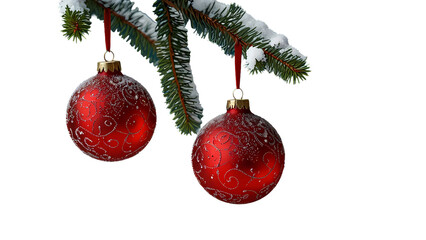 A festive Christmas tree branch of green spruce is adorned with hanging red glass ball ornaments and gold decorations for a winter holiday celebration in December