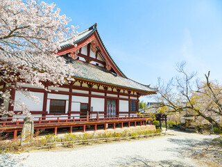 【奈良県】大和郡山市 矢田寺(金剛山寺) (2025/04/09撮影)