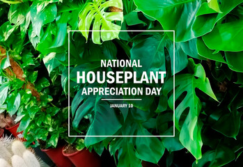 National Houseplant Appreciation Day poster stock photo images. Lush green plant background. Fresh green foliage frame photo. Template for background, banner, card. January 10 every year