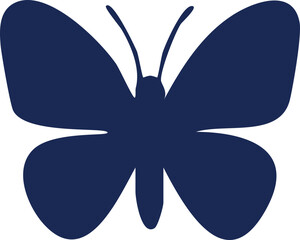 butterfly on a white background