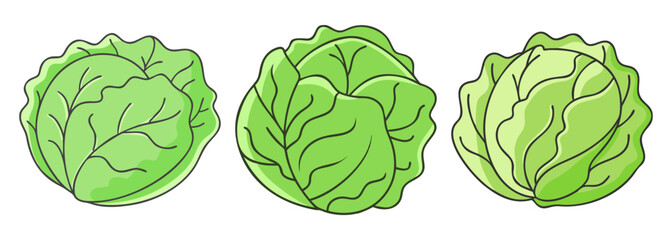 Fresh green cabbage heads displayed in a row perfect for culinary inspiration and healthy eating guides