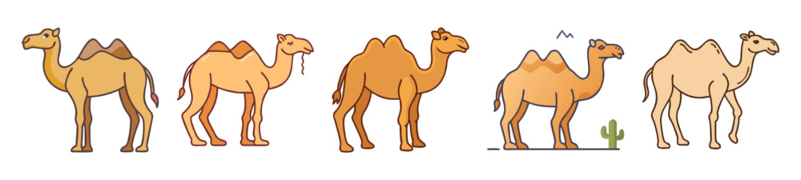 Five dromedary camels standing together in a dry landscape under bright sunlight