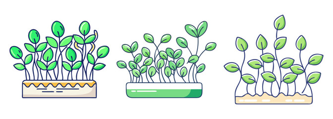 Healthy microgreens growing in containers vibrant green shoots ideal for culinary use and nutritional boost