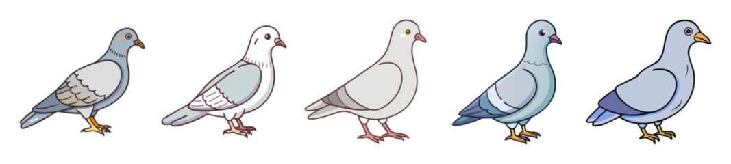 Captivating collection of pigeon poses showing artistic sketch and color study progression