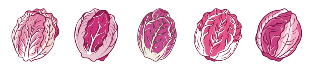 Five vibrant radicchio heads showcase their deep red and pink hues in a close-up top view composition