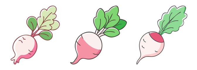Fresh radishes with green tops three root vegetables watercolor style artwork produce isolated