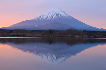 精進湖から見た富士山
