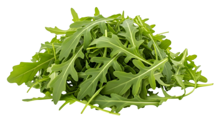 Fresh green arugula leaves isolated on a transparent background rocket salad