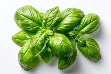 Fototapeta premium Fresh basil leaves on a white background, top-down close-up with crisp detail