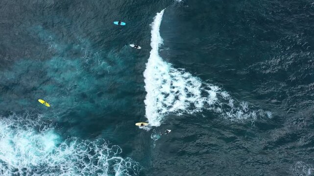 Aerial view of surfers riding the waves in the deep blue ocean waters, creating a stunning contrast with the white foamy waves, Benijo, Santa Cruz de Tenerife, Spain.