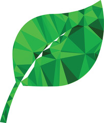 vector illustration of a green leaf