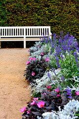 biała ławka stojąca w parku, piaszczysta droga w ogrodzie otoczona kolorowymi kwiatami, kwitnąca kompozycja rabatowa, blooming garden composition            