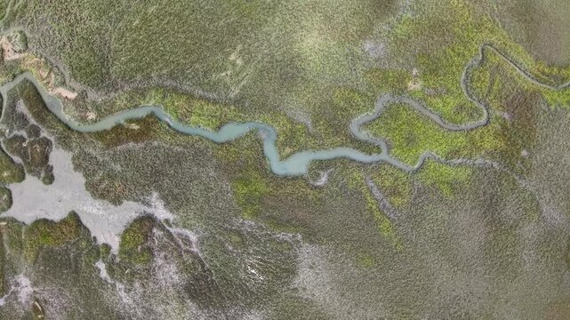 Top-down aerial of a winding river snaking through a marshland ecosystem in South Carolina, revealing intricate water channels, tidal flow patterns, and lush wetlands