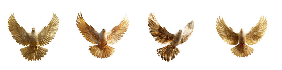 Obraz premium Four golden eagle silhouettes in various flight poses wings spread wide isolated on transparent background