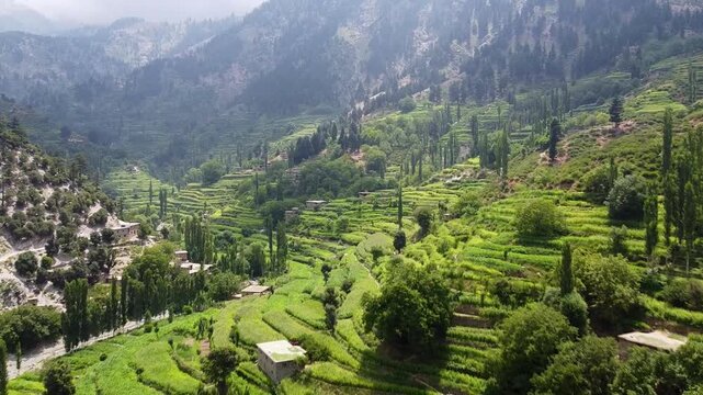 Aerial drone of Benshi, Afghanistan's Kunar Province, the majestic mountains showcase an unmatched richness and agriculture terraced farms, symbolizing the beauty of the country's landscapes.