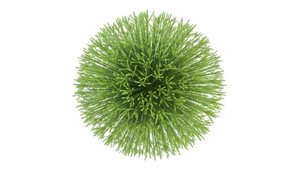 Green virus cell with spikes isolated on a transparent background microscopic