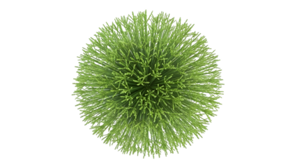Green virus cell with spikes isolated on a transparent background microscopic